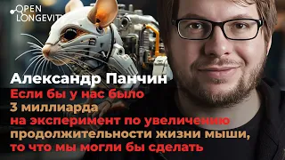 Александр Панчин: Можем ли мы увеличить продолжительность жизни мыши в 5 раз?