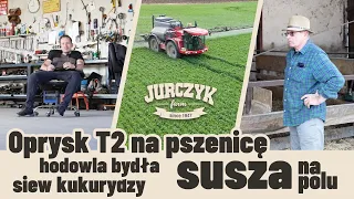 11. Oprysk T2 na pszenicę, susza na polach, siew kukurydzy, jak wygląda rzepak po przymrozkach?