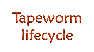 Tapeworm lifecycle #Sheepfarming  #Goatfarming #Sathyazerograzing