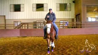 Reining Horse Training - Collected or not Collected in Spins with Tom McCutcheon
