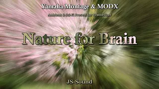 Yamaha Montage & MODX Sound Set "Nature for Brain" Ambient Relax Chill   Multi Performances Demo