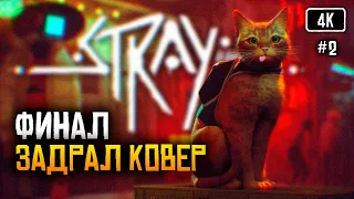 [4K] Stray финал #2 🅥 Стрей полное прохождение на русском