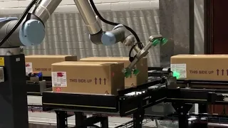 Palletsing cell using UR collaborative robots