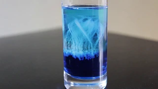 Blue Jellyfish Shot