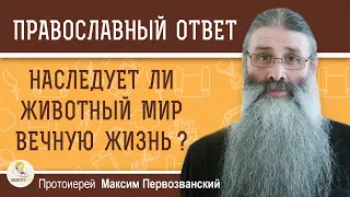 НАСЛЕДУЕТ ЛИ ЖИВОТНЫЙ МИР ВЕЧНУЮ ЖИЗНЬ ?  Протоиерей Максим Первозванский