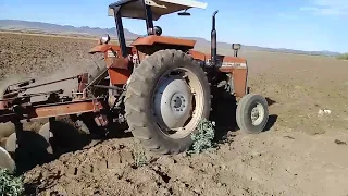 Barbechando con Tractor Massey Ferguson 285