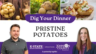 Dig Your Dinner: Pristine Potatoes