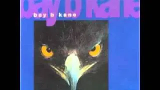 Jungle Warriors - Bay B Kane
