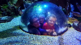 Part 8 of our Aquarium Vacation trip to Louisiana