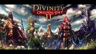 One-Hour Divinity: Original Sin 2 Co-op Playthrough - Portal Of Dreams And Sadha Part 79