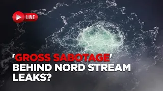 Nord Stream Leaks Live| 'Gross Sabotage': Investigation Finds Evidence Of Detonations