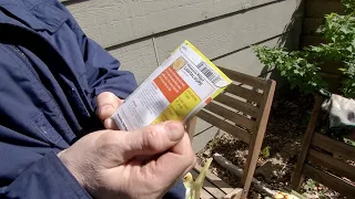 Master Gardener Planting Minnesota Midget Cantaloupes in Pots