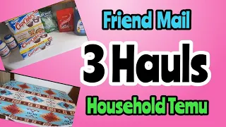 3 Hauls // Friend Mail // Remainder Of Fur Baby Haul // Household Temu Haul #blessed #temu