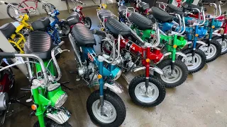 The Indianapolis Honda Minibike Collection (317) 727-9927