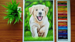 How to draw a Puppy Dog with oil pastel colours