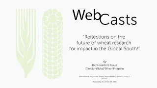 Reflections on the  future of wheat research  for impact in the Global South!