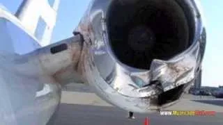 AIRPLANE Accidents, Crashes, Bird strikes