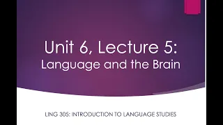 LING 305 Lecture 6.5: Language and the Brain