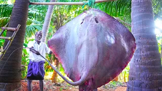 150 KG MONSTER ELEPHANT STINGRAY FISH CUTTING SKILL | BIG SAND LOBSTER GRILL | BIGGEST ICE BAR