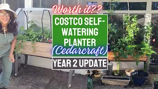 *UNSPONSORED* Review of 2-yr-old Cedarcraft elevated self-watering planter #CostcoFinds