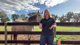 Feeding Mares and Foals