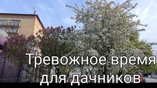 Наша Дача в Германии/Гоняю мышей, устанавливаем мойку/Капризы природы 🌞🌦