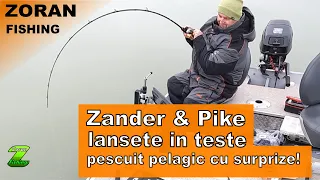 Pescuit pelagic cu surpriza   test lansete salau si stiuca