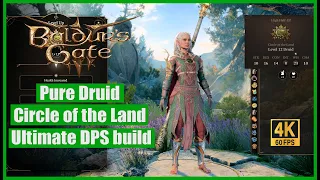 Baldur's Gate 3 Pure Druid Circle of the Land Ultimate DPS build