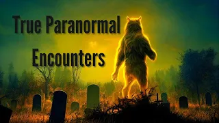 Encounters with the Unknown: Ghost Child, Djinn, Dogman