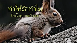 เพลง ทำให้รักทำไม ร้องโดย คนเมืองเซ