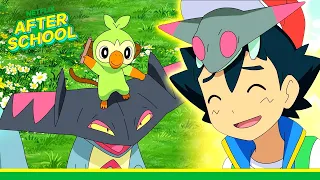 Pokémon in the WILD! 🌱 Pokémon Ultimate Journeys | Netflix After School