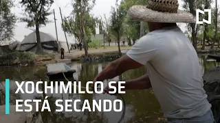 Xochimilco se está secando por la sobreexplotación de manantiales - Despierta