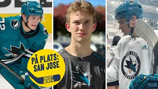 William Eklunds nya liv i San Jose: "Jag trivs jäkligt bra här"