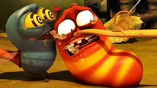 LARVA | Lutte acharnée | Film de dessin animé | Dessins Animés Pour Enfants | WildBrain