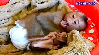 Fantastic !! Baby Monkey Kako Wearing Clothes Before Go To Sleep