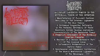 Lymphatic Phlegm / Flesh Grinder - split CD FULL ALBUM (1999 - Goregrind)