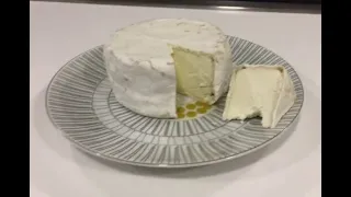 fromage camembert fait maison  جبن الكمبيرت محلي الصنع