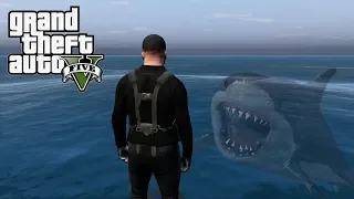 GTA 5 - DANS LA PEAU D'UN HERO