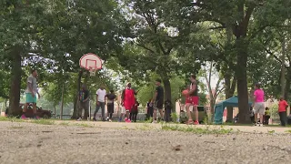 'No Crime Day' held in West Pullman Park