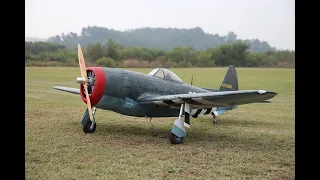 Black Horse P47 + Smoke