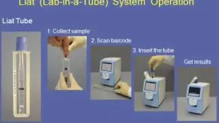 CMV Viral Load Testing: Bridging the Gap Between the Laboratory and Clinical Care