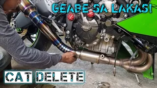 CAT DELETE SA KAWASAKI ZX6R! LUMAKAS BA? [ STEP BY STEP ]