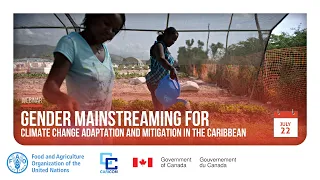 Gender mainstreaming methodologies and good practices  for climate change adaptation and mitigation