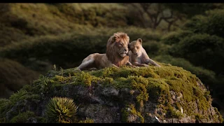 Disney's The Lion King | Love Spot | In Cinemas July 17 |  Tickets on Sale Now