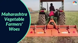 Maharashtra: Crop Prices Crash, Farmers Forced To Destroy Crops | Ground Report | CNBC-TV18