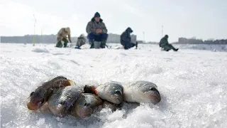 Лучшее закрытие зимней рыбалки. Рыбалка на Чанах