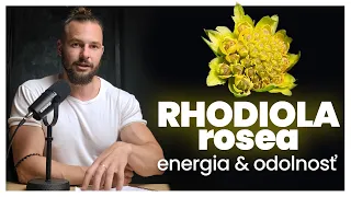 Rhodiola Rosea na chronickú únavu? | Účinky, dávkovanie, skúsenosť a ako funguje