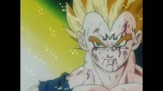 Dragon Ball Z AMV - Stop Crying Your Heart Out