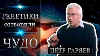 Подарок вам на новый год, В память о великом учёном Петре Петровиче Горяева