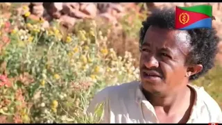 New Eritrean comedy(Mebrahtu Solomun and Rezene Beyene ● season 1 part 2 2022